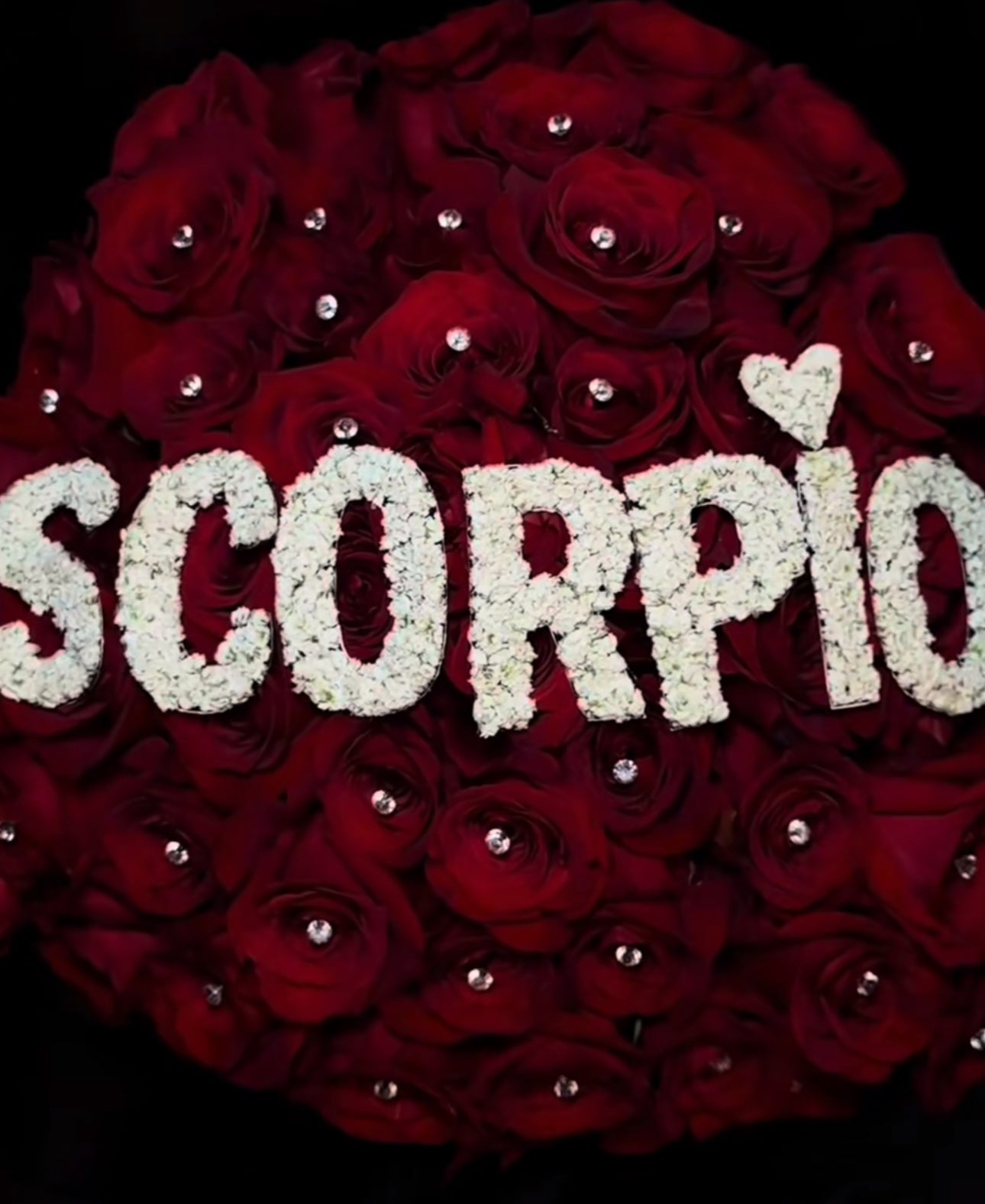 Astrology Szn Baby’s Breath Topper